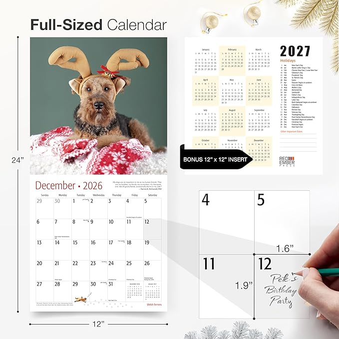 RED EMBER Welsh Terriers 2026 Wall Calendar 12 Month | 12" x 24" Open | Thick & Sturdy Paper | Holiday Gift | Cute Puppy Dog Calendar 2026