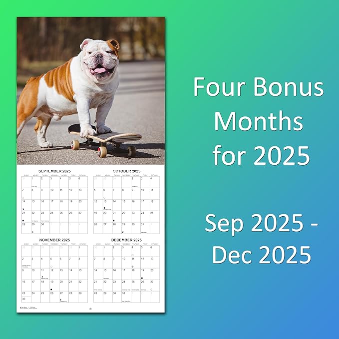 2026 Silly Dogs Monthly Wall Calendar | Funny Dogs Calendar September 2025 - December 2026