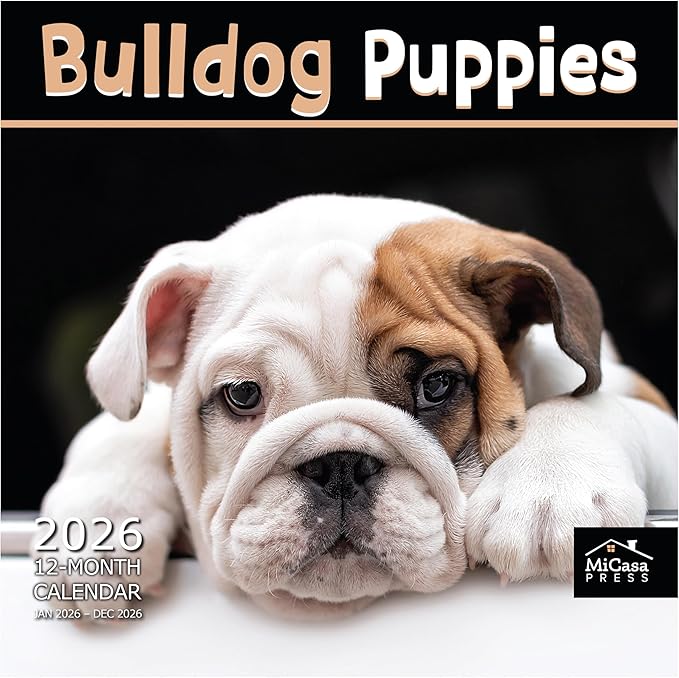 MICASA PRESS Bulldog Puppies 2026 Wall Calendar 12 Month | 12" x 24" Open | Thick & Sturdy Paper | Holiday Gift | Cute Puppy Dog Calendar 2026