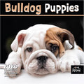 MICASA PRESS Bulldog Puppies 2026 Wall Calendar 12 Month | 12" x 24" Open | Thick & Sturdy Paper | Holiday Gift | Cute Puppy Dog Calendar 2026