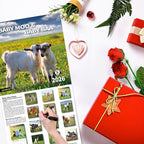 2026 Wall Calendar,Calendar 2026, November 2025 - December 2026, Wall Calendar Baby Moo Moos, 12" x 24" Opened,Full Page Months Thick & Sturdy Paper for Calendar Organizing & Planning