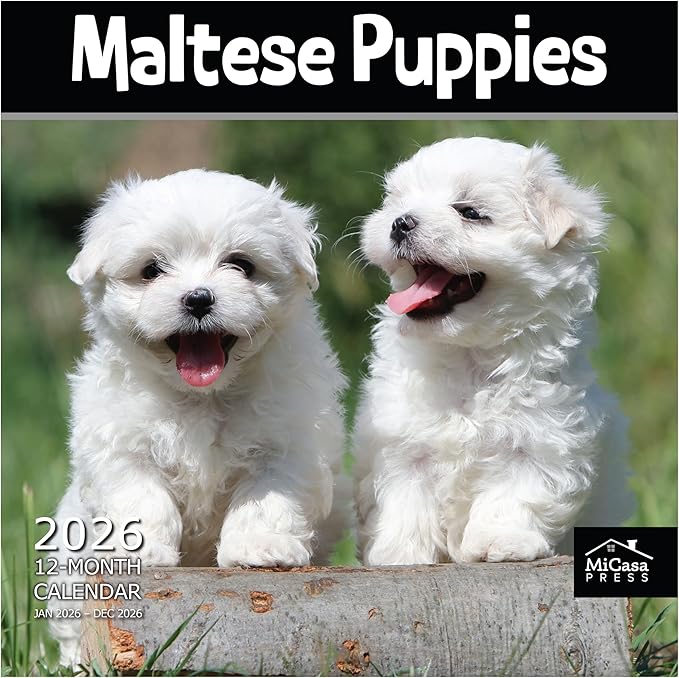 MICASA PRESS Maltese Puppies 2026 Wall Calendar 12 Month | 12" x 24" Open | Thick & Sturdy Paper | Holiday Gift | Cute Puppy Dog Calendar 2026