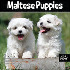 MICASA PRESS Maltese Puppies 2026 Wall Calendar 12 Month | 12" x 24" Open | Thick & Sturdy Paper | Holiday Gift | Cute Puppy Dog Calendar 2026