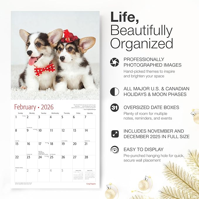 RED EMBER Corgi Puppies 2026 Wall Calendar 12 Month | 12" x 24" Open | Thick & Sturdy Paper | Holiday Gift | Cute Puppy Dog Calendar 2026