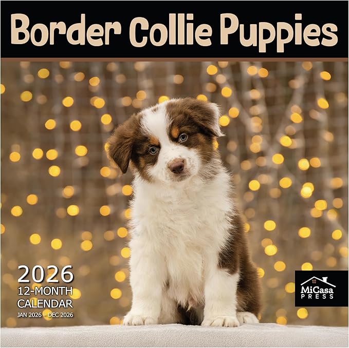 MICASA PRESS Border Collie Puppies 2026 Wall Calendar 12 Month | Thick & Sturdy Paper | Holiday Gift | Cute Puppy Dog Calendar 2026