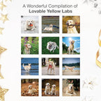 RED EMBER Yellow Labs 2026 Wall Calendar 12 Month | 12" x 24" Open | Thick & Sturdy Paper | Holiday Gift | Cute Labrador Retriever Puppy Dog Calendar 2026