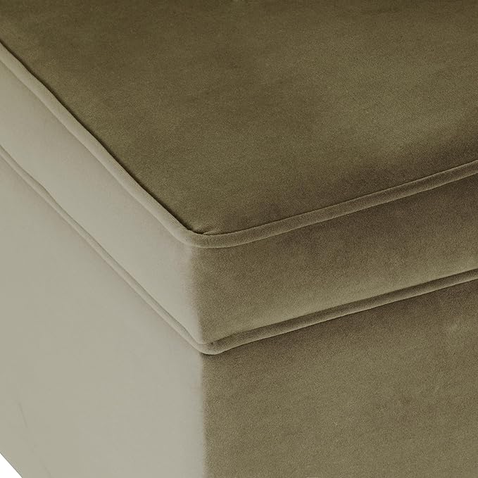 Spatial Order Home Decor | Dinah Collection Modern Storage Ottoman | Ottoman with Storage for Living Room & Bedroom(Light Sage Green Velvet)