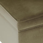 Spatial Order Home Decor | Dinah Collection Modern Storage Ottoman | Ottoman with Storage for Living Room & Bedroom(Light Sage Green Velvet)