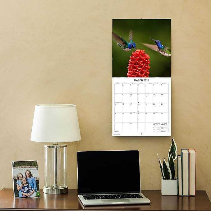 2026 Hummingbirds Monthly Wall Calendar | Animals Calendar 2025-2026
