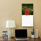 2026 Hummingbirds Monthly Wall Calendar | Animals Calendar 2025-2026