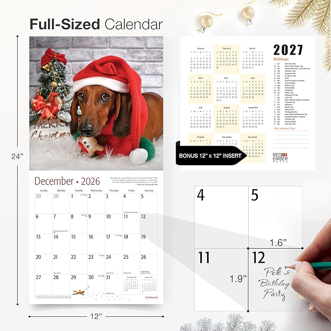 RED EMBER Dachshunds 2026 Wall Calendar 12 Month | 12" x 24" Open | Thick & Sturdy Paper | Holiday Gift | Cute Puppy Weiner Dog Calendar 2026