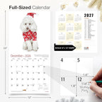 RED EMBER Toy Poodles 2026 Wall Calendar 12 Month | 12" x 24" Open | Thick & Sturdy Paper | Holiday Gift | Cute Puppy Dog Calendar 2026