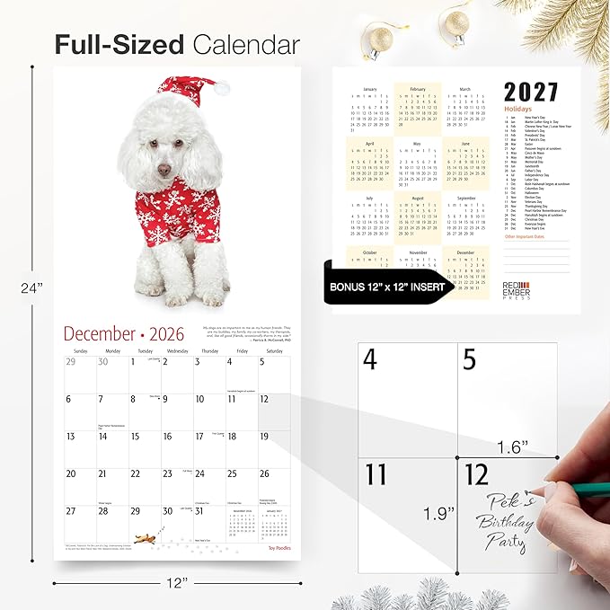 RED EMBER Toy Poodles 2026 Wall Calendar 12 Month | 12" x 24" Open | Thick & Sturdy Paper | Holiday Gift | Cute Puppy Dog Calendar 2026