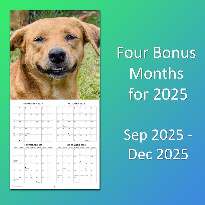 2026 Smiling Dogs Monthly Wall Calendar | Funny Happy Dogs Calendar September 2025 - December 2026