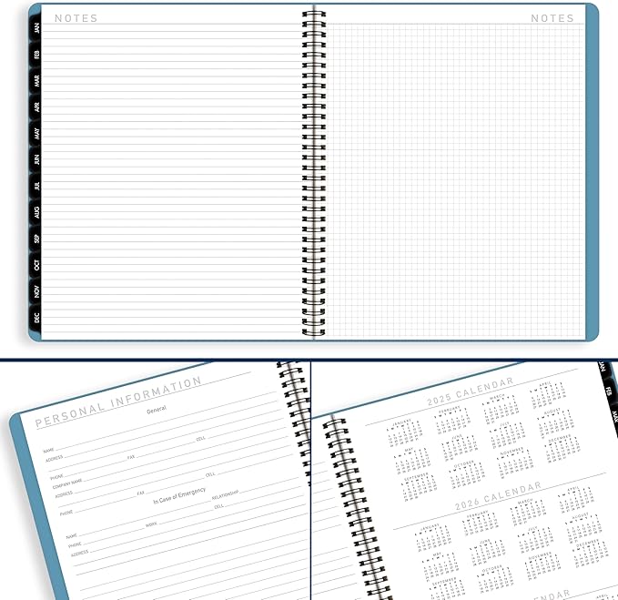 AT-A-GLANCE 2026 Planner, Monthly, 9" x 11", Large, Contemporary Lite, Sky Blue (7026XL3826)