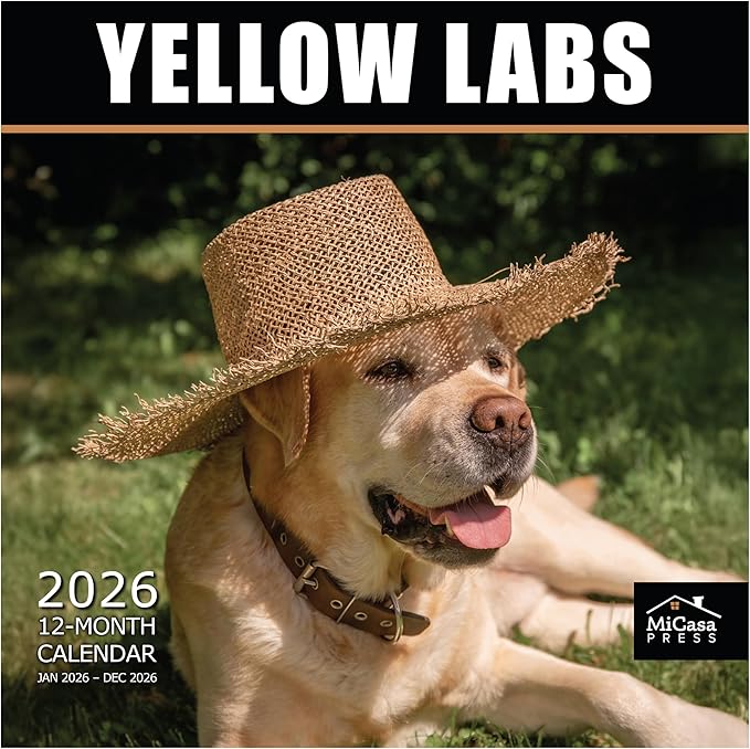 MICASA PRESS Yellow Labs 2026 Wall Calendar 12 Month | 12" x 24" Open | Thick & Sturdy Paper | Holiday Gift | Cute Labrador Retriever Puppy Dog Calendar 2026