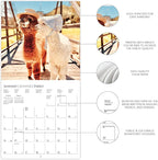 Graphique 2026 Little Alpaca on the Prairie Wall Calendar | 12” x 12” | Thick Paper | Home & Office Organizer | Large Monthly Grid | 3 Languages & Marked Holidays | 4 Month Preview Page for 2027