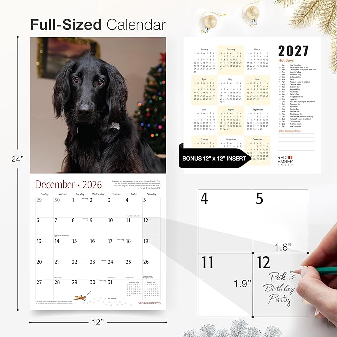RED EMBER Flat-Coated Retrievers 2026 Wall Calendar 12 Month | 12" x 24" Open | Thick & Sturdy Paper | Holiday Gift | Cute Puppy Dog Calendar 2026