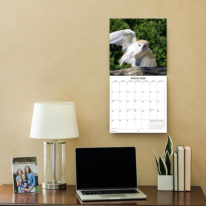 2026 Owls Monthly Wall Calendar | Animals Calendar 2025-2026