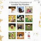 RED EMBER Toy Poodles 2026 Wall Calendar 12 Month | 12" x 24" Open | Thick & Sturdy Paper | Holiday Gift | Cute Puppy Dog Calendar 2026