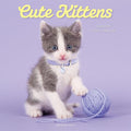 Graphique 2026 Cute Kittens Wall Calendar | 12” x 12” | Thick Paper | Home & Office Organizer | Large Monthly Grid | 3 Languages & Marked Holidays | 4 Month Preview Page for 2027