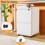 INTERGREAT 2 Drawer File Cabinet with Wheels, Metal Filling Cabinet with Lock, Locking Office Mobile Cabinet with Wheels for Legal/Letter Size, Under Desk, Easy Assemble, White