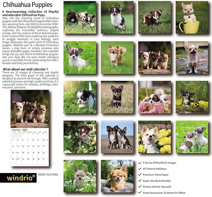 windrio 2026 Wall Calendar, Calendar 2026, July 2025 - December 2026, Wall Calendar Chihuahua Puppies, 12" x 24" Opened,Full Page Months Thick & Sturdy Paper for Calendar Organizing & Planning