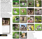 windrio 2026 Wall Calendar, Calendar 2026, July 2025 - December 2026, Wall Calendar Chihuahua Puppies, 12" x 24" Opened,Full Page Months Thick & Sturdy Paper for Calendar Organizing & Planning