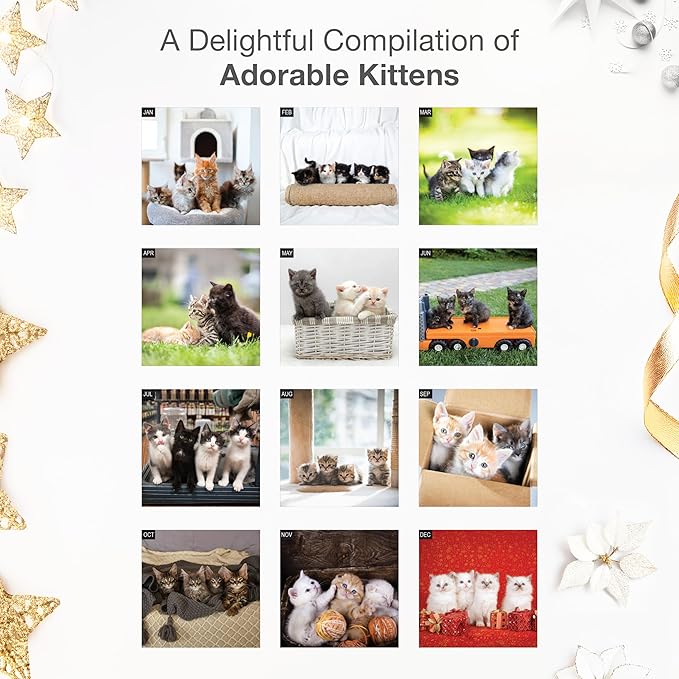 RED EMBER Kitten Party 2026 Wall Calendar 12 Month | 12" x 24" Open | Thick & Sturdy Paper | Holiday Gift | Cute Kitten Cat Calendar 2026