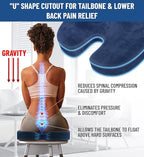 Everlasting Comfort Doctor Recommended Memory Foam Seat Cushion for Office Chairs & Car - Ergonomic Office Desk Accessories - Cushions for Tailbone Pain Relief, Sciatica (Navy Blue, Large)