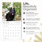 RED EMBER Schipperkes 2026 Wall Calendar 12 Month | 12" x 24" Open | Thick & Sturdy Paper | Holiday Gift | Cute Puppy Dog Calendar 2026