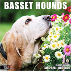 RED EMBER Basset Hounds 2026 Wall Calendar 12 Month | 12" x 24" Open | Thick & Sturdy Paper | Holiday Gift | Cute Puppy Dog Calendar 2026