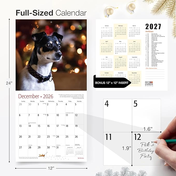 RED EMBER Rat Terriers 2026 Wall Calendar 12 Month | 12" x 24" Open | Thick & Sturdy Paper | Holiday Gift | Cute Puppy Dog Calendar 2026