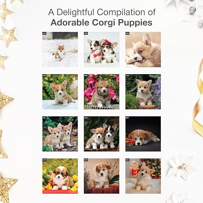 RED EMBER Corgi Puppies 2026 Wall Calendar 12 Month | 12" x 24" Open | Thick & Sturdy Paper | Holiday Gift | Cute Puppy Dog Calendar 2026