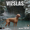 RED EMBER Vizslas 2025 Wall Calendar 12 Month | 12" x 24" Open | Thick & Sturdy Paper | Giftable | Calendar 2025