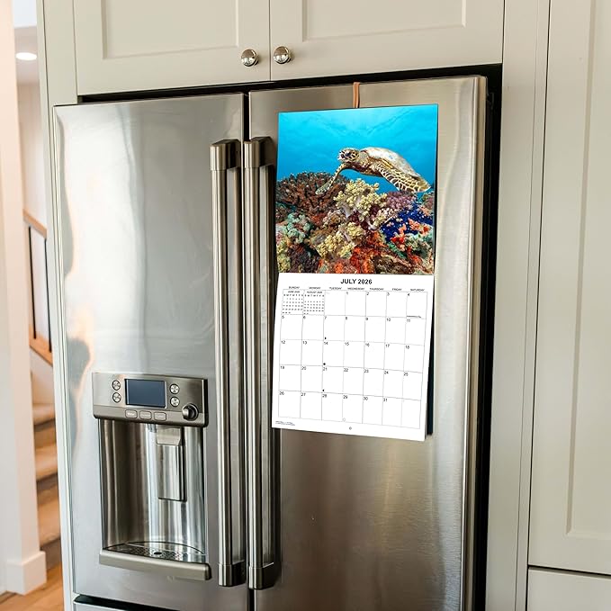 2026 Sea Turtles Monthly Wall Calendar | Cute Animals Sea Creatures Calendar 2025-2026