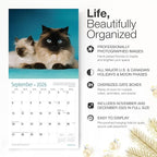 RED EMBER Himalayan Cats 2026 Wall Calendar 12 Month | 12" x 24" Open | Thick & Sturdy Paper | Holiday Gift | Cute Kitten Cat Calendar 2026