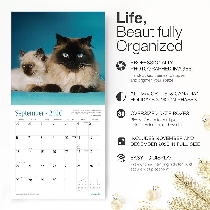 RED EMBER Himalayan Cats 2026 Wall Calendar 12 Month | 12" x 24" Open | Thick & Sturdy Paper | Holiday Gift | Cute Kitten Cat Calendar 2026