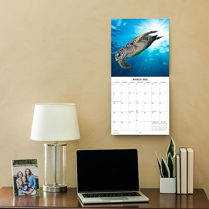 2026 Sea Turtles Monthly Wall Calendar | Cute Animals Sea Creatures Calendar 2025-2026