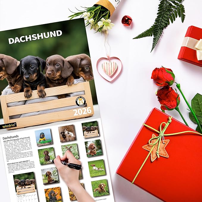 2026 Wall Calendar,Calendar 2026, November 2025 - December 2026, Wall Calendar Dachshund, 12" x 24" Opened,Full Page Months Thick & Sturdy Paper for Gift Perfect Calendar Organizing & Planning