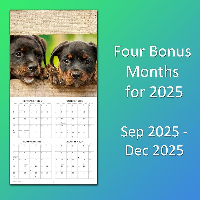 2026 Puppies Monthly Wall Calendar | Cute Dogs Calendar September 2025 - December 2026