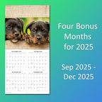 2026 Puppies Monthly Wall Calendar | Cute Dogs Calendar September 2025 - December 2026