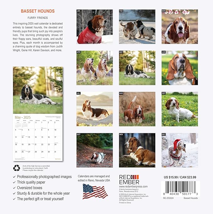 RED EMBER Basset Hounds 2025 Wall Calendar 12 Month | 12" x 24" Open | Thick & Sturdy Paper | Giftable | Dog Calendar 2025