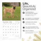 RED EMBER Shar-Pei 2026 Wall Calendar 12 Month | 12" x 24" Open | Thick & Sturdy Paper | Holiday Gift | Cute Puppy Dog Calendar 2026