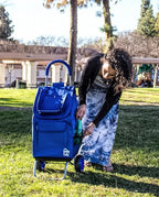 dbest products Trolley Dolly Blue Foldable Shopping cart for Groceries with Wheels and Removable Bag and Rolling Personal Handtruck, Standard