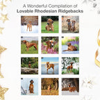 RED EMBER Rhodesian Ridgebacks 2026 Wall Calendar 12 Month | 12" x 24" Open | Thick & Sturdy Paper | Holiday Gift | Cute Puppy Dog Calendar 2026