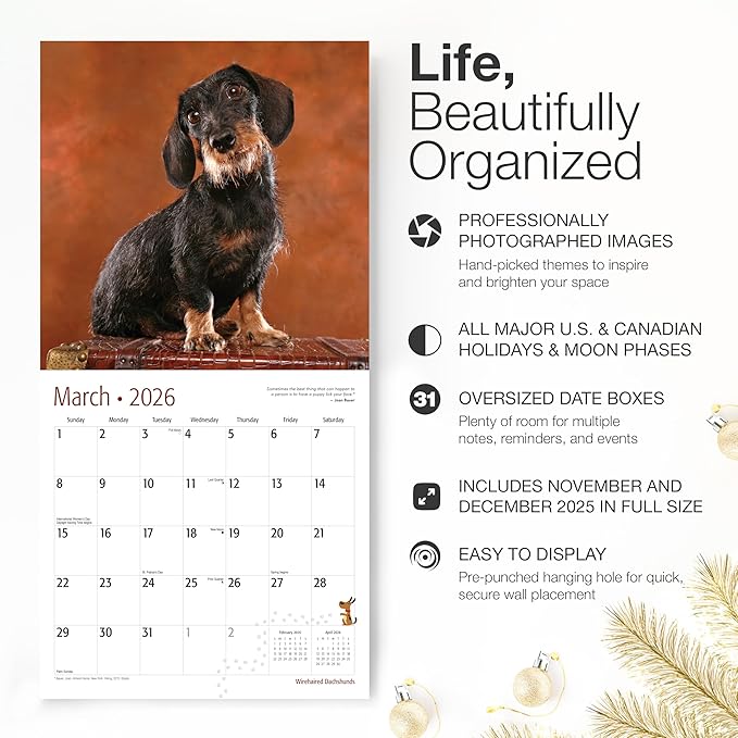 RED EMBER Wirehaired Dachshunds 2026 Wall Calendar 12 Month | 12" x 24" Open | Thick & Sturdy Paper | Holiday Gift | Cute Puppy Weiner Dog Calendar 2026