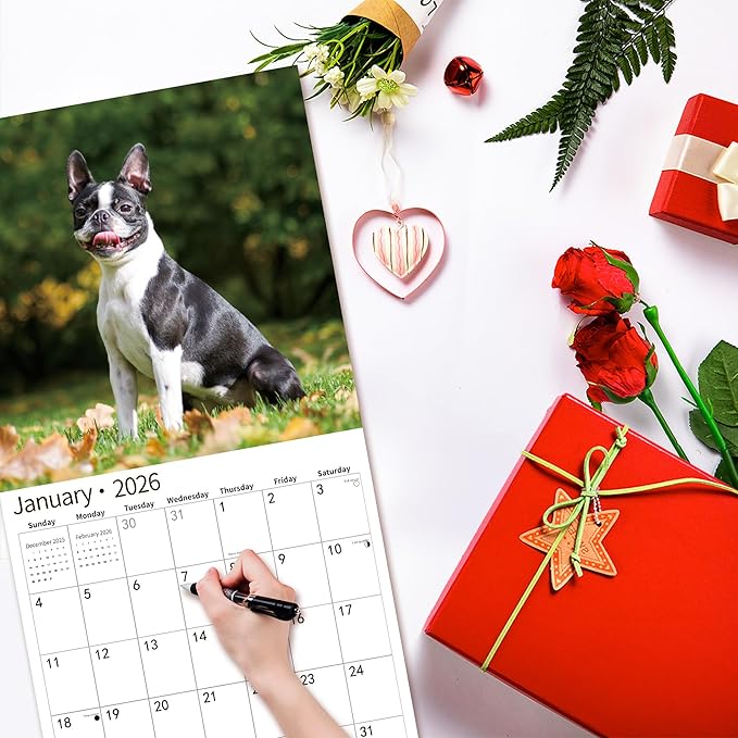 2026 Wall Calendar,Calendar 2026, November 2025 - December 2026, Wall Calendar Boston Terriers, 12" x 24" Opened,Full Page Months Thick & Sturdy Paper for Calendar Organizing & Planning