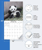 2026 Baby Pandas Monthly Wall Calendar | Cute Baby Animals Calendar 2025-2026