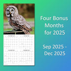 2026 Owls Monthly Wall Calendar | Animals Calendar 2025-2026